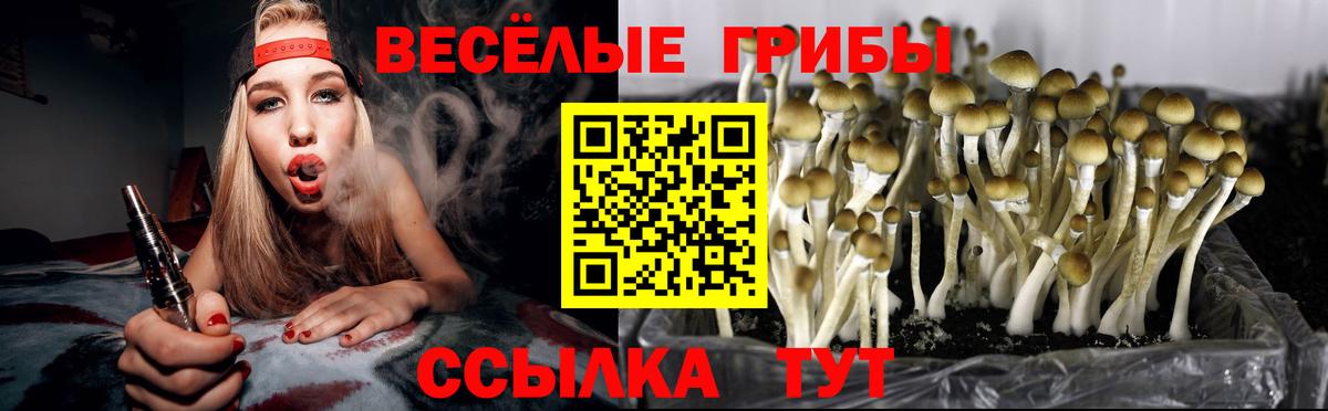 Галлюциногенные грибы мухоморы  Вход с VPN  Екатеринбург 